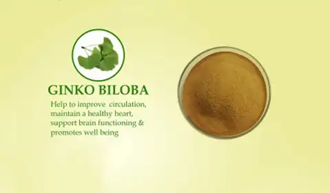 Top Benefits of Ginkgo Biloba Extract for Brain and Memory Health